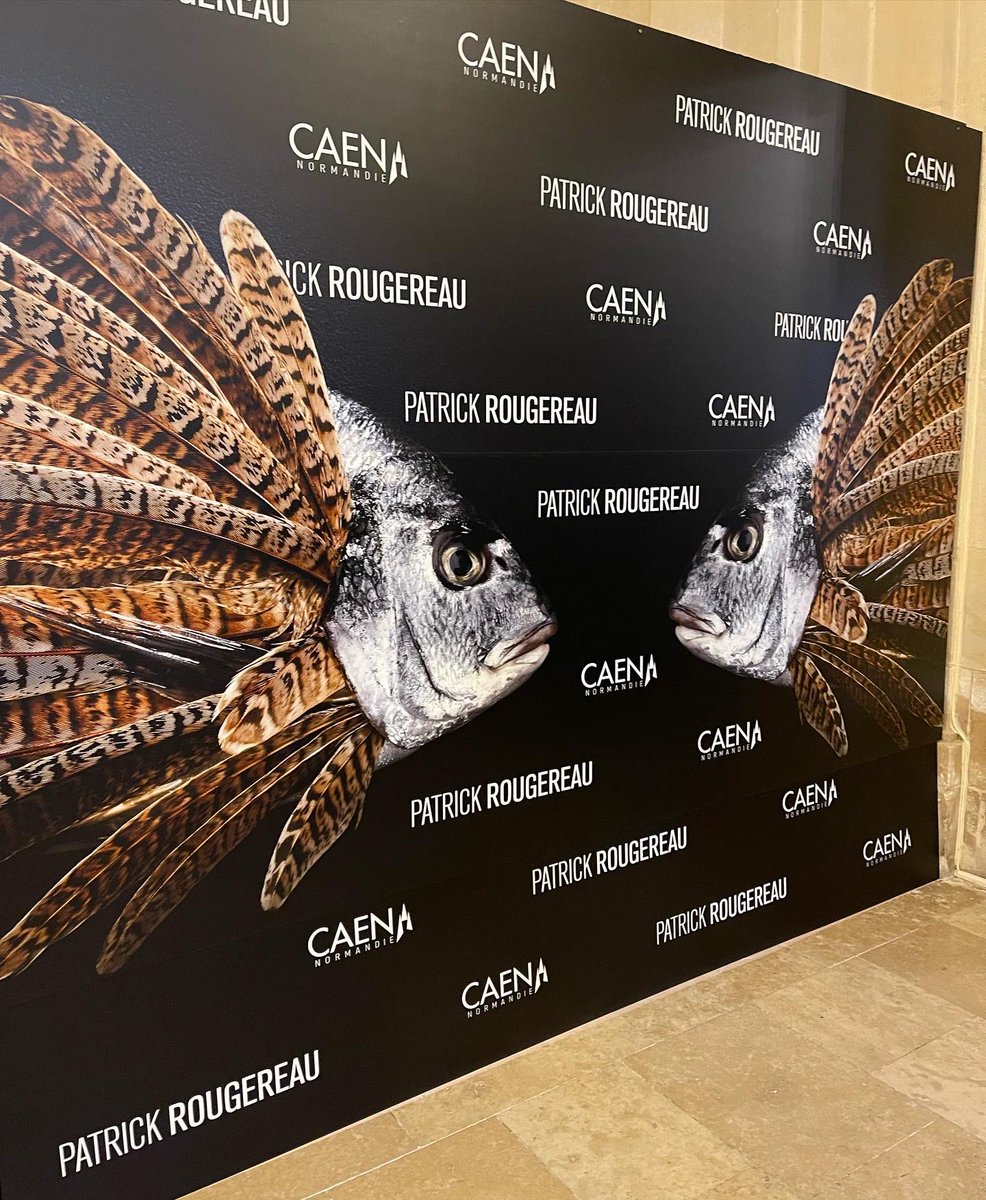 PRougereau's tweet image. Samedi 22 octobre, ma prochaine exposition ouvrira ses portes. Je suis très fier d’exposer dans ma ville @caenofficiel 
Des nouveautés à découvrir à la mairie, sur le parvis et sur le port de caen. #exposition #imaginaire #villedecaen #photographies #sculptures