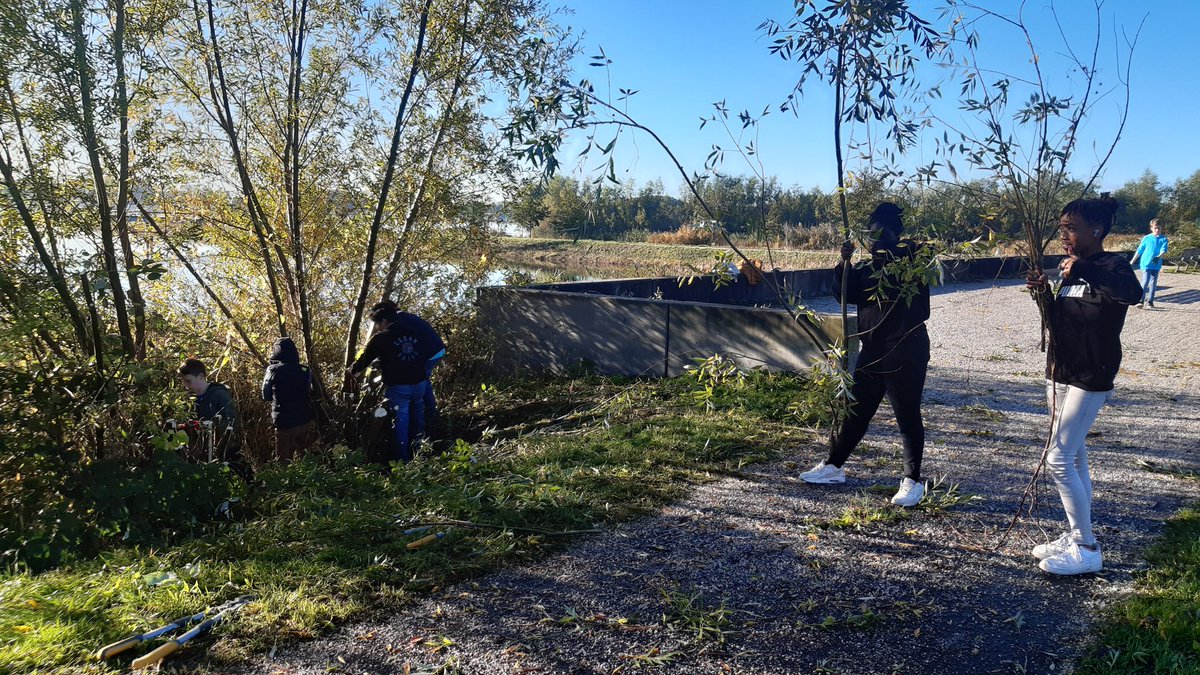 Wardburg college hard aan het werk met wilgen zagen in de #Rottemeren