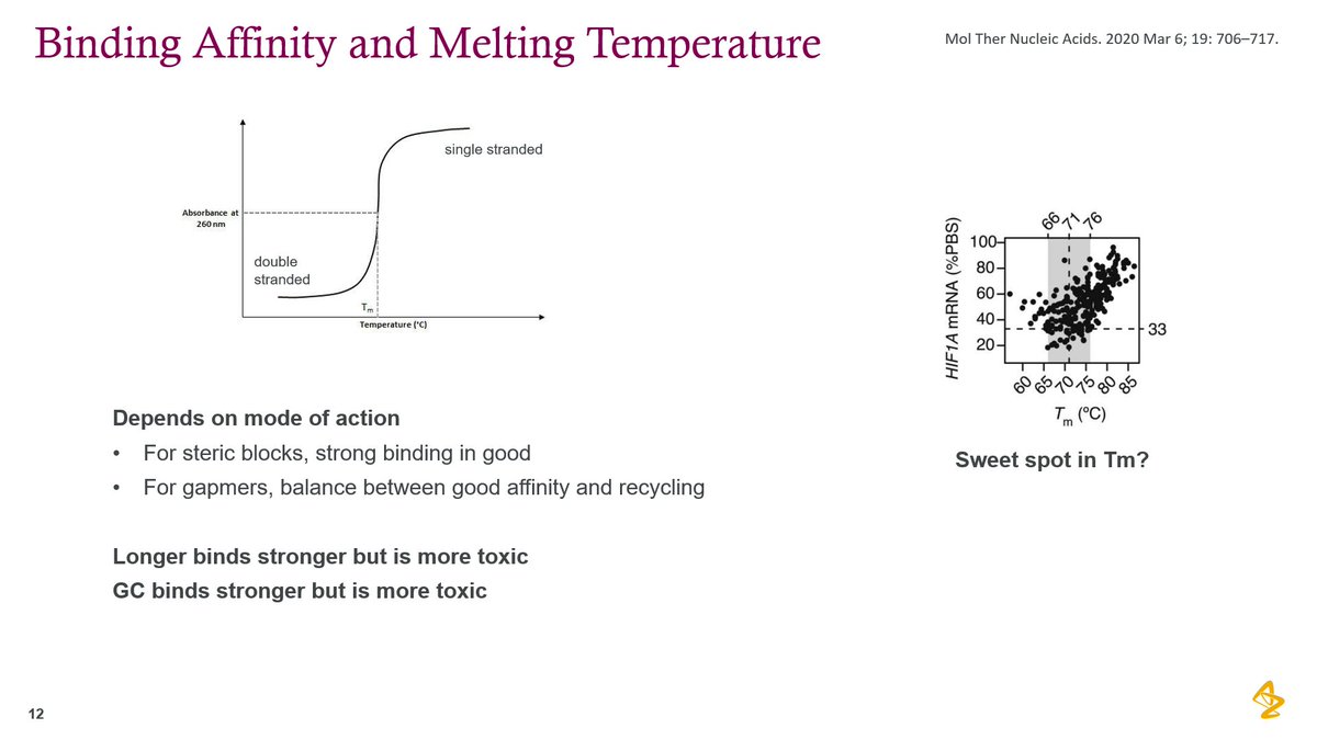 AON_Delivery's tweet photo. 📍🌡️#MeltingTemperature is an important factor to take into account and you can play with it to modify the 🔗#BindingAffinity❕
⬇️
You can increase the 🌡️Tm, by designing a longer #oligo.
🤫But remember: longer oligos are more prone to induce #toxicity🤔 https://t.co/1JdJ0Css5k