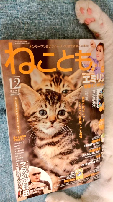 【おしらせ】
16日発売の『ねことも』12月号に「ちたにゃんがきた!」を4ページ掲載してもらっています🐈
仔猫保護からのハラハラ保育編その3ですよ!よろしくお願いします✨ 