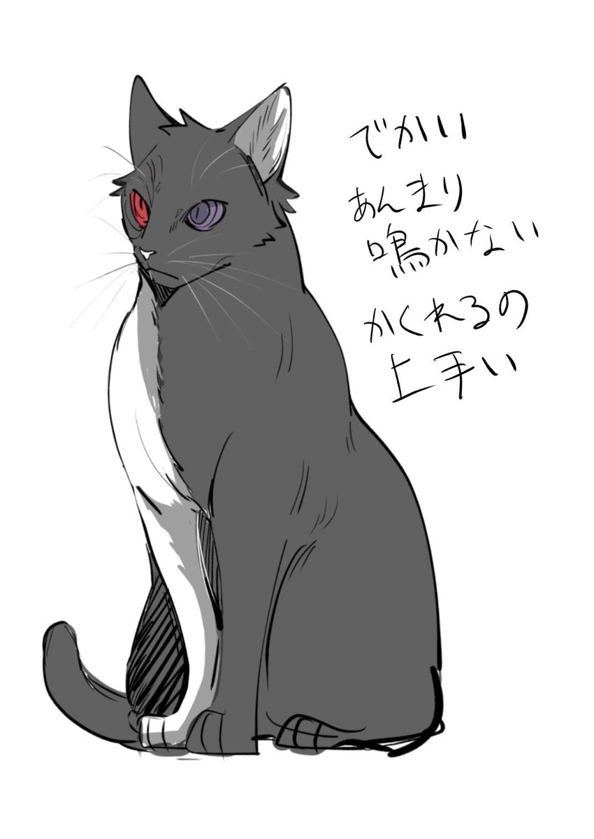YMN_6pk's tweet photo. 猫化妄想 https://t.co/omNw9FhS6k