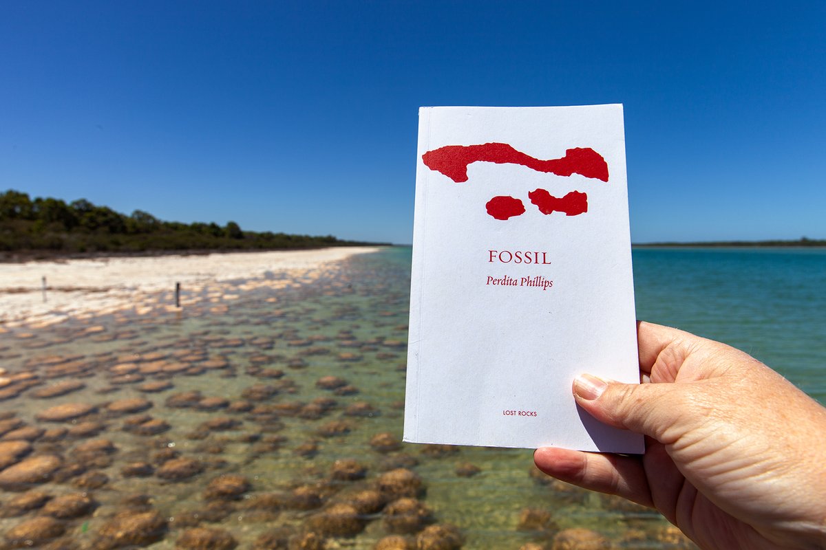 PerditaPhillips's tweet photo. Save SymbioticA - Sign the Petition! https://t.co/qIth0yHRq0 via @ChangeAUS. Pictures: artworks derived from the one of the two amazing @AusCouncilArts residencies I did at SymbioticA. Shame if this world-class place was allowed to fold #artandscience #bioart #geohum #EnvHum https://t.co/jM1SbmJXaO