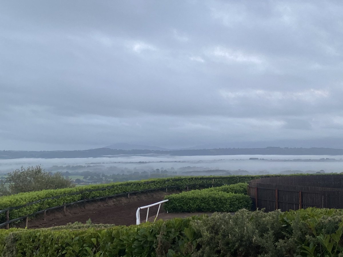 Brendan Powell tweet media