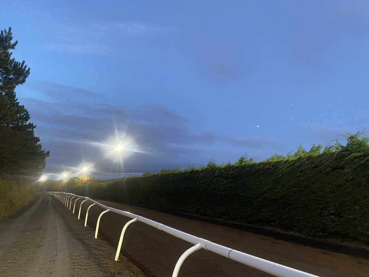 Brendan Powell tweet media