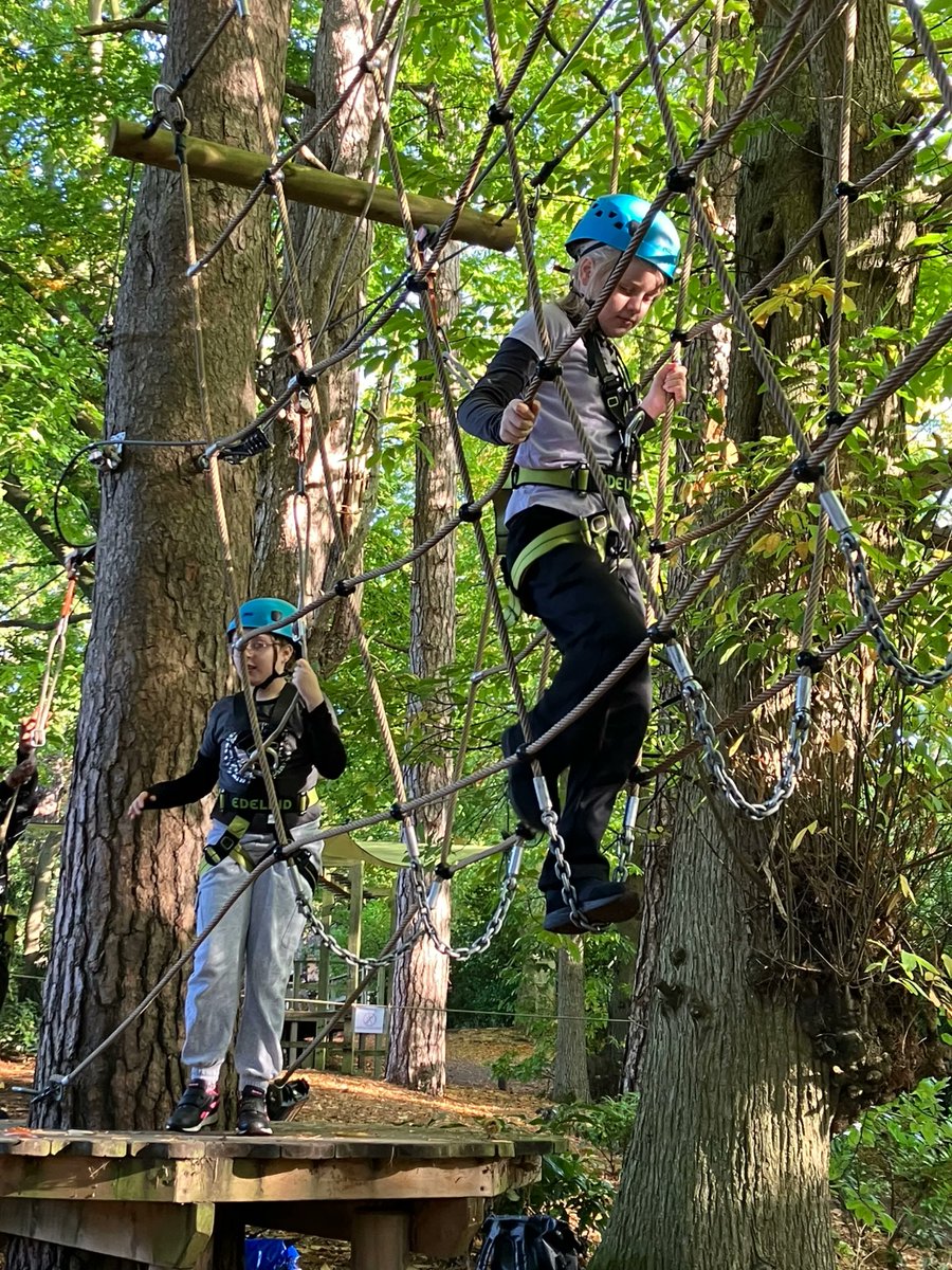 Wilton CE Primary School 🌈 tweet media