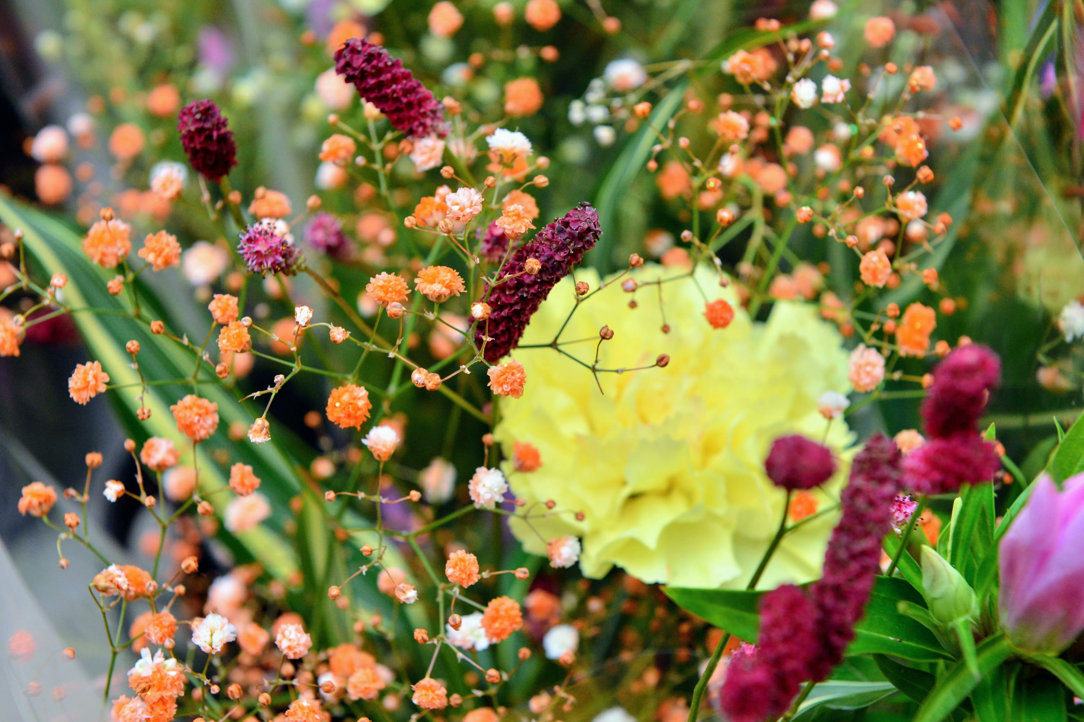いわい生花 Floweriwai101 Twitter
