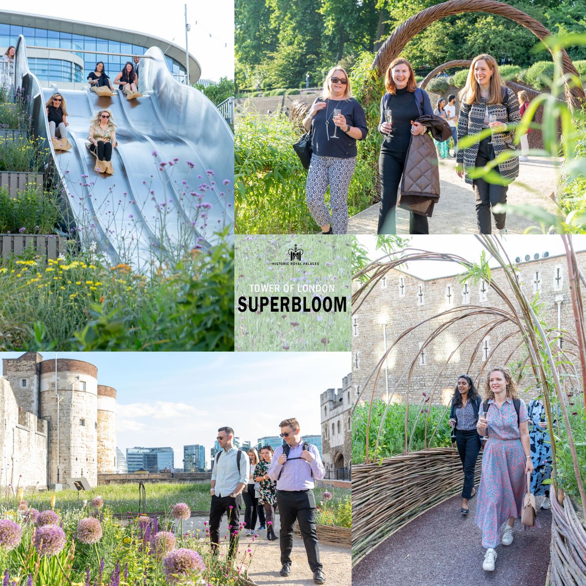 JustinGrainge's tweet photo. TBT a glorious summer shoot at #SUPERBLOOM (The Tower of London - 2022) https://t.co/xDT3SCdZyP