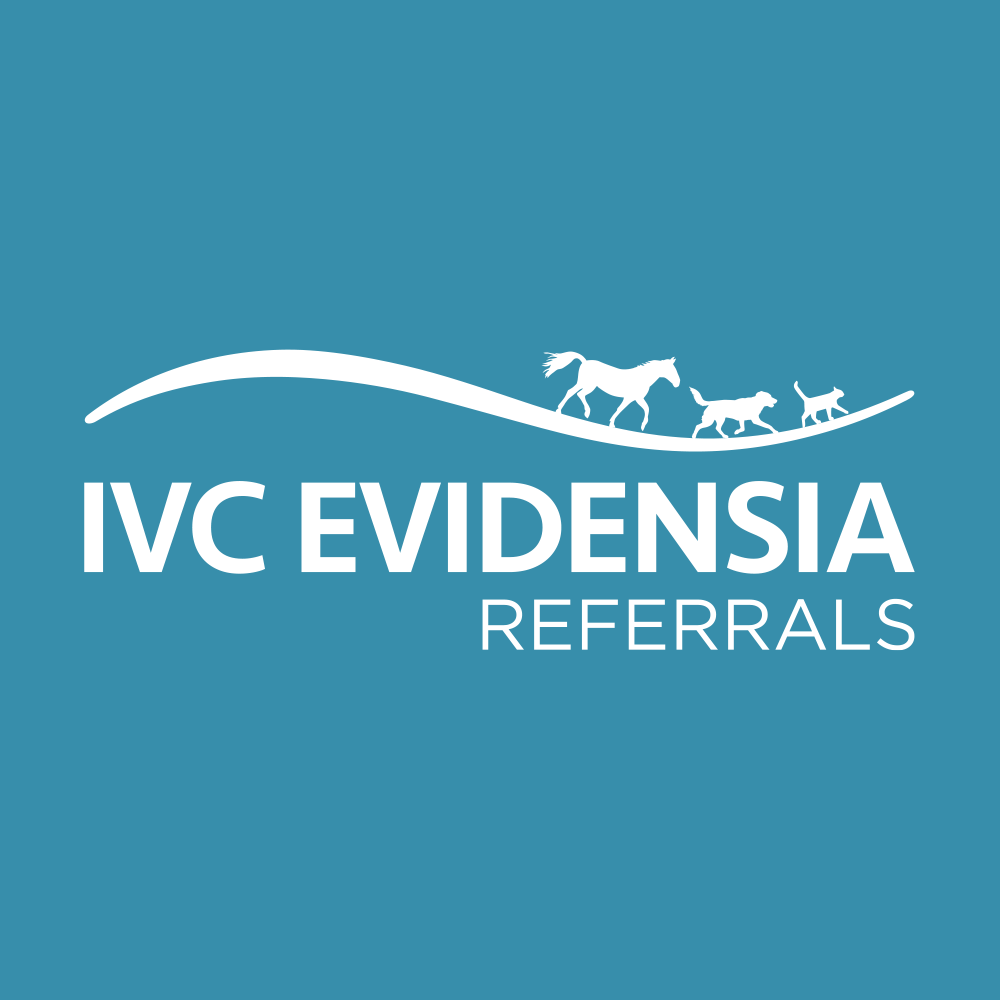 IVC_Evidensia's tweet photo. Today's #IVCEvidensiaReferralSummit, dedicated to our referral colleagues, is focused on communication. Fantastic speakers @cliveelwood &amp; @civilitysaves are helping support our growing referral community as we work together to deliver our purpose of healthy animals, happy owners. https://t.co/7LoxiYIdTC