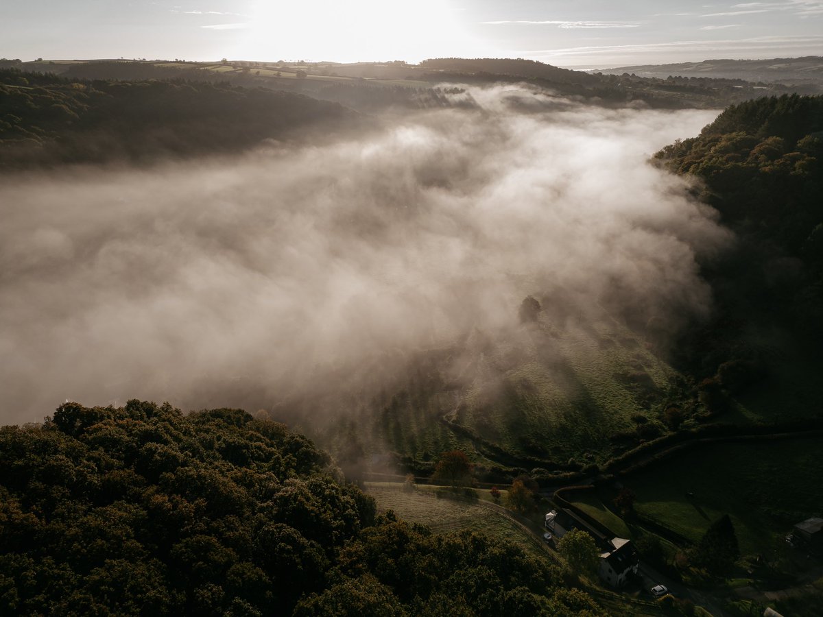 Louise May | Wedding Photography tweet media