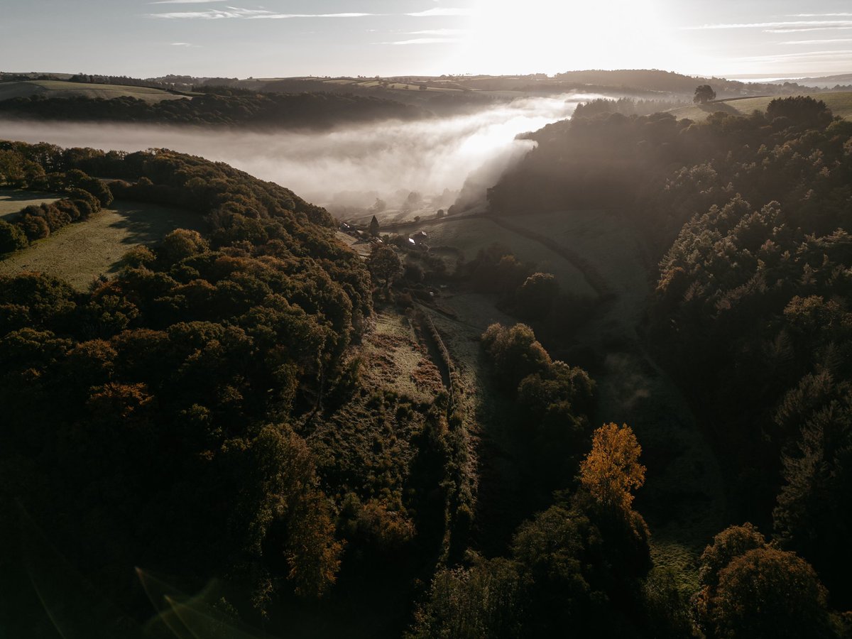 Louise May | Wedding Photography tweet media