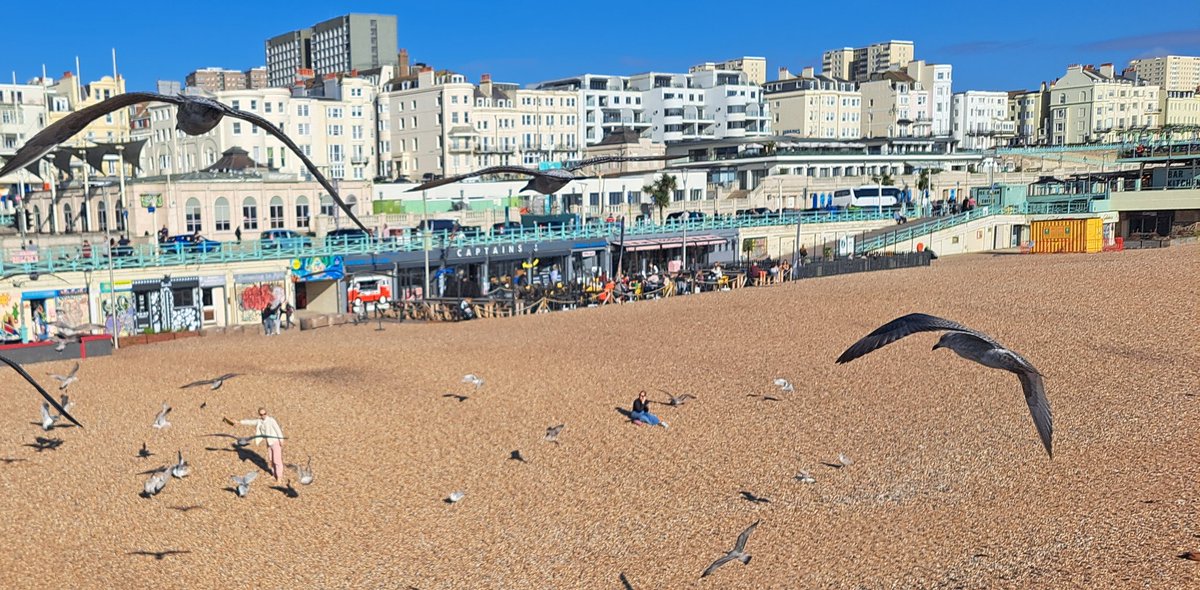 Jakarta Casual tweet media