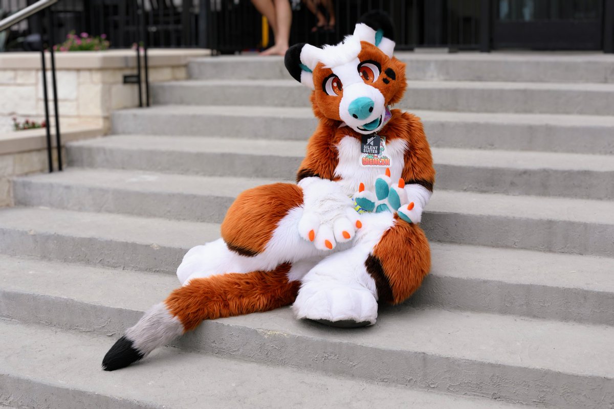 Come sit with Gremlin? 👉👈

📷: <a href="/Saintsfox21/">Saints (Kage)</a>