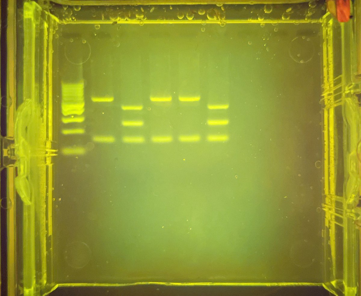 The closest thing to magic