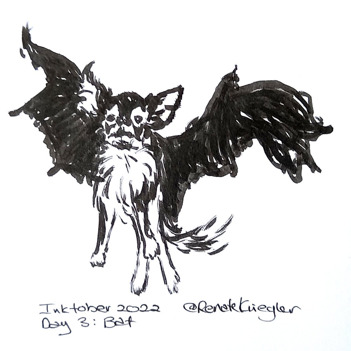 RenateKriegler's tweet photo. #Inktober2022 Day 3: Bat
@inktober #Inktober
#Bat
#Chihuahua
#FlyingDog
#BatEars
#BatWings
#Halloween
#HalloweenDog https://t.co/EalL9nmBVU