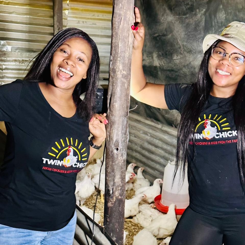 brieflyza's tweet photo. Two young girls from underprivileged backgrounds have started a chicken farm business together🤩

Meet Mpho and Dimakatso from Madidi who want to prove that women can support each other 👌@twin_chicks #TuesdayMotivaton https://t.co/hgxqnhlDdp