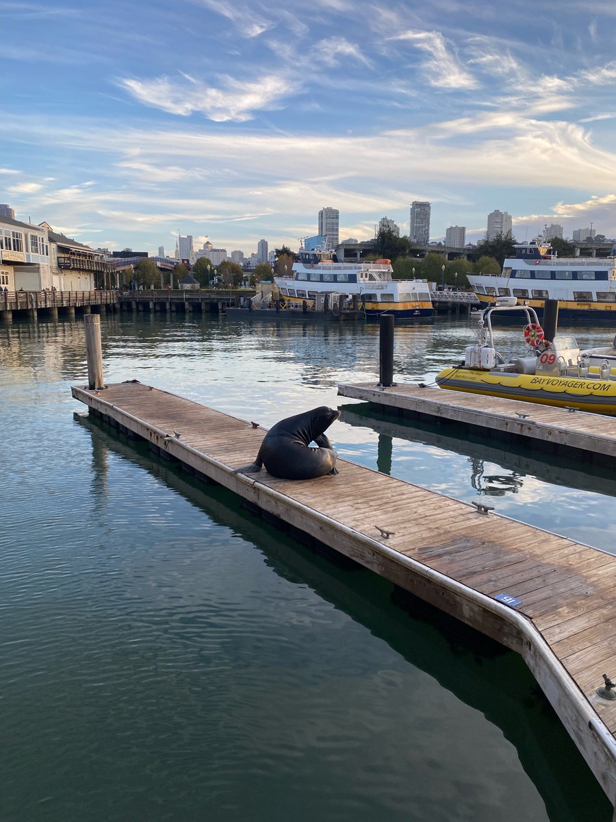 Kori Rahaim tweet media