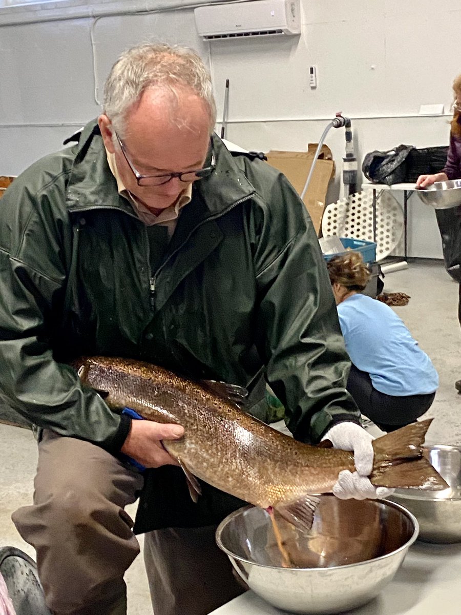 BHSOutdoors's tweet photo. @takemeoutside to @SalmonMiramichi to check out their Broodstock program... Env. Sci. Students witnessing science in action @DiscMiramichi @asdnnb @stemnorth https://t.co/4foWAvStoQ