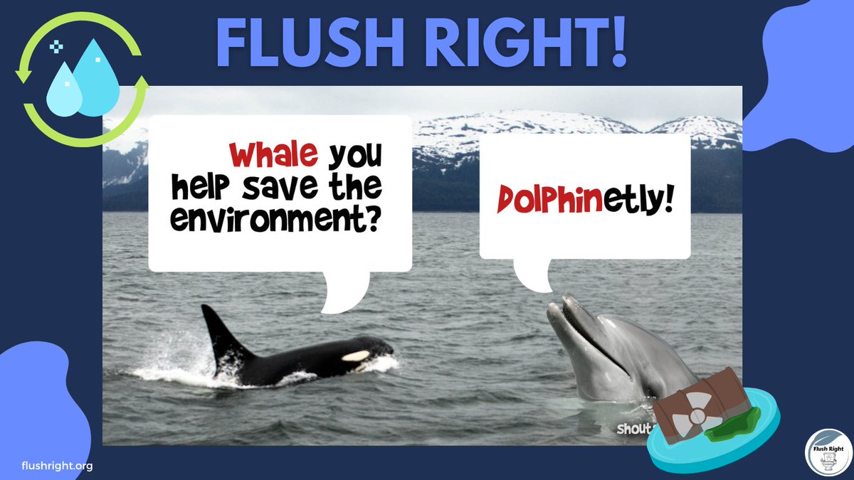 Our sea creatures are doing its’ best in surviving under the ocean, we must also help them in taking care of their ecosystem. If they can, we can. There is a lot of work in protecting our planet and its resources...but we can start today! 
#flushright #ocean #water #4Ps
