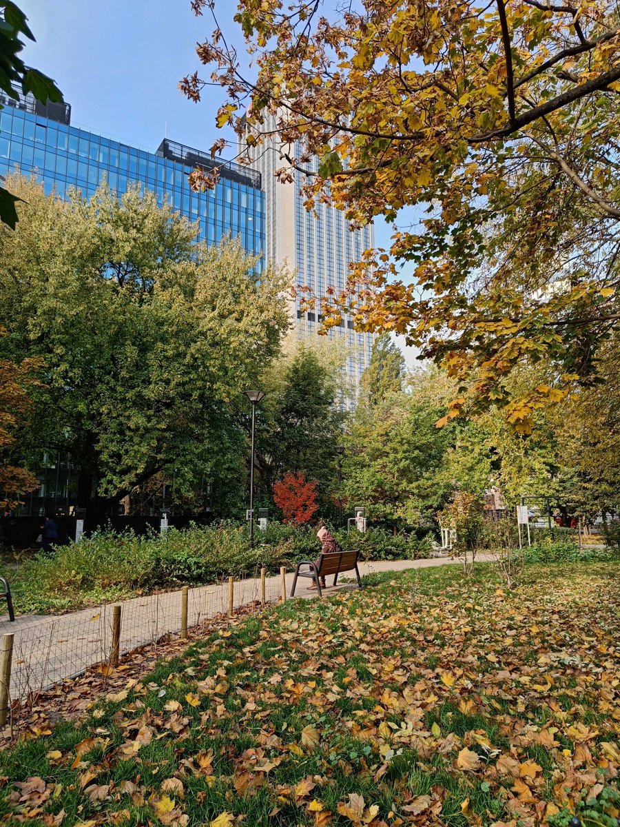 commitglobalorg's tweet image. Looking forward to meeting the CSOs doing fantastic work in #Poland in support of the Ukrainian refugees. Our VP of Product &amp;amp; Co-Founder @olivia_vereha is already in #Warsaw so stay tuned for more news from her! #BuildLocalCommitGlobal