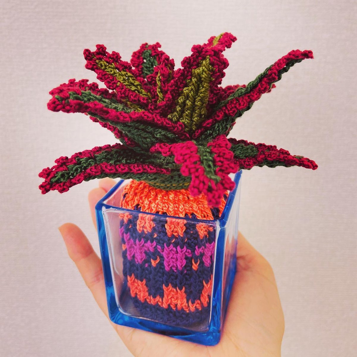 「アロエいろいろ#編み物 #crochet #アロエ #aloe 」|knitting artist alaのイラスト