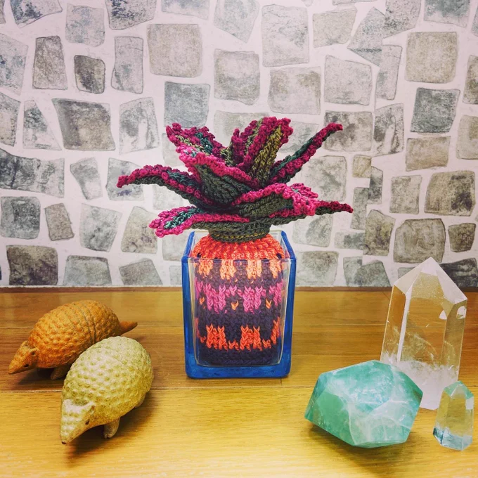 アロエいろいろ#編み物 #crochet #アロエ #aloe 