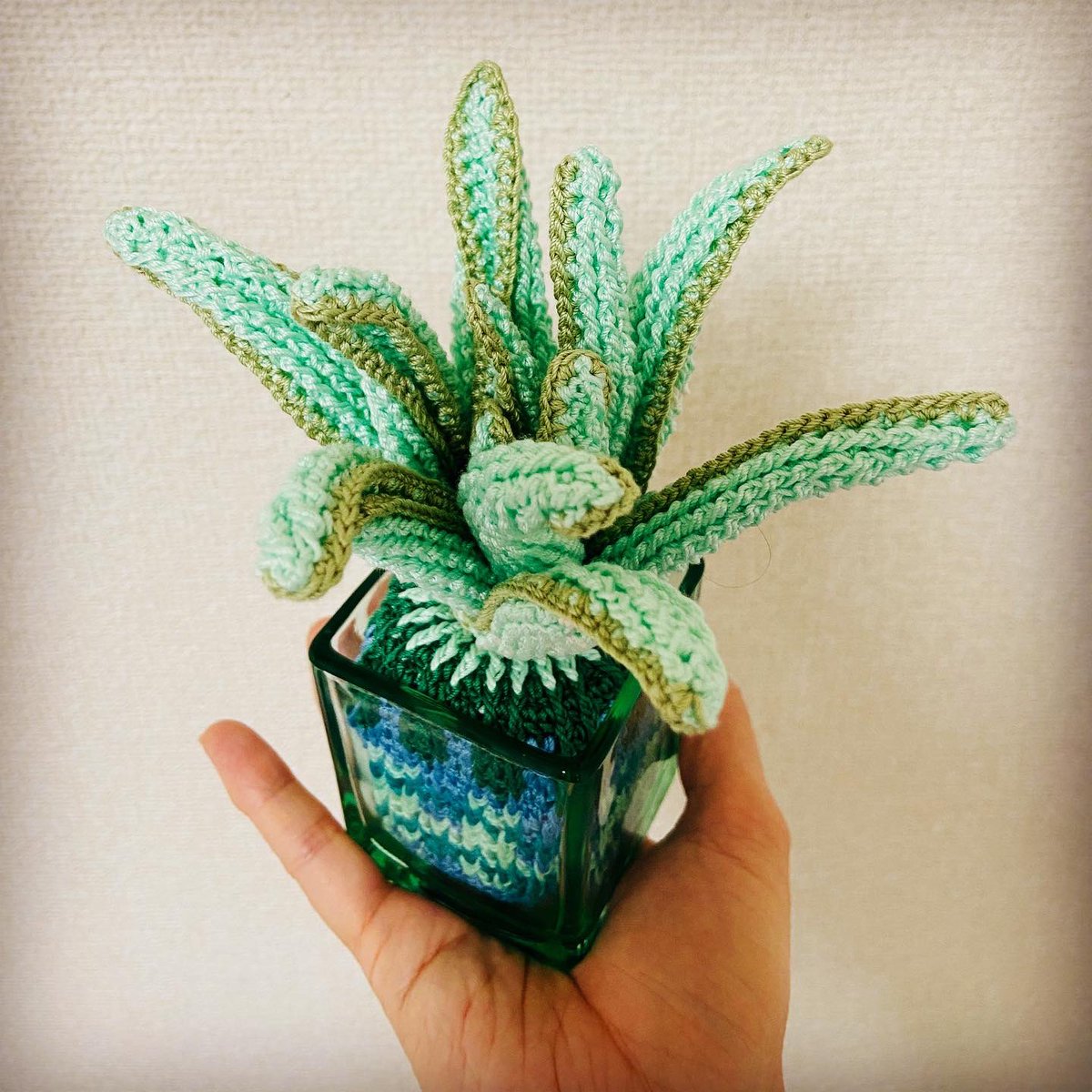 「アロエいろいろ#編み物 #crochet #アロエ #aloe 」|knitting artist alaのイラスト