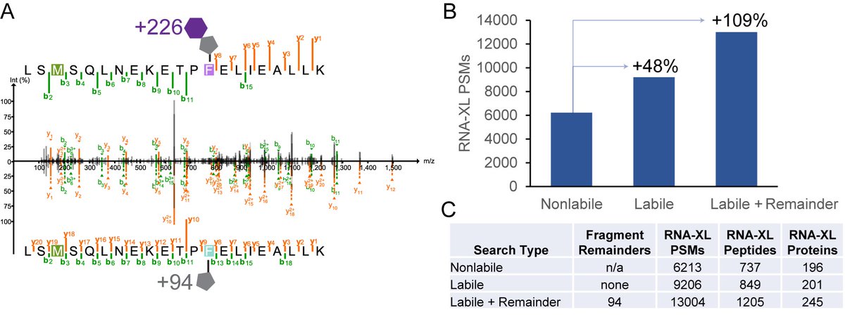 Alexey Nesvizhskii (@nesvilab) on Twitter photo We (led by <a href="/DanPolasky/">Dan Polasky</a>) describe a new, flexible Labile Mode of #MSFragger in #FragPipe that can tailor labile PTM searches to their specific fragmentation characteristics. Improved ID rates for phospho, RNA-crosslinked, ADP-ribosylated peptides and more. biorxiv.org/content/10.110… We (led by <a href="/DanPolasky/">Dan Polasky</a>) describe a new, flexible Labile Mode of #MSFragger in #FragPipe that can tailor labile PTM searches to their specific fragmentation characteristics. Improved ID rates for phospho, RNA-crosslinked, ADP-ribosylated peptides and more. biorxiv.org/content/10.110…