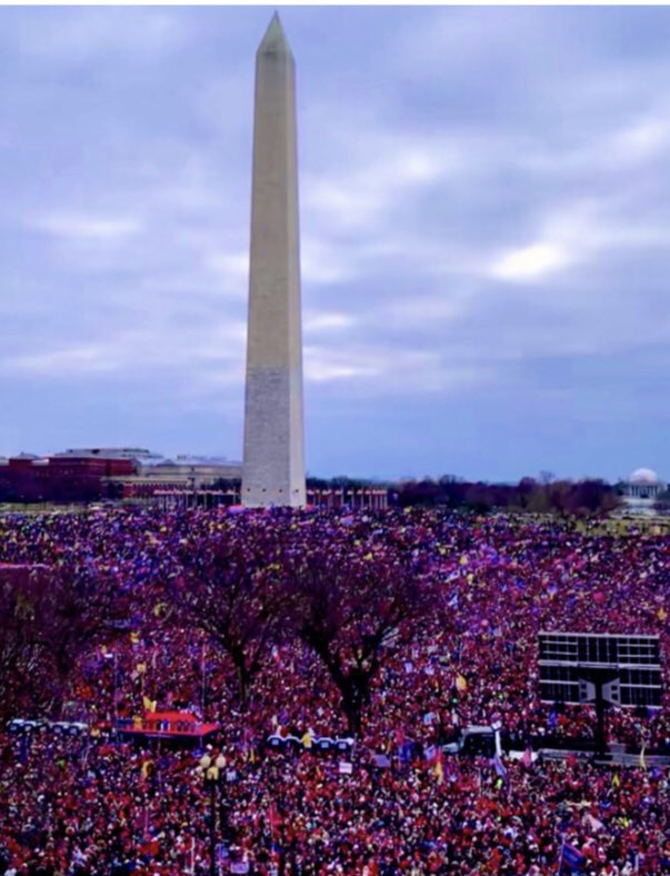 UltraMAGATRUMP's tweet photo. @stpstpjr @cspanwj @sbg1 @peterbakernyt Trump is more popular today than he was on January 6th when a million people went to DC to Stop The Steal. https://t.co/VPJNMvUU81