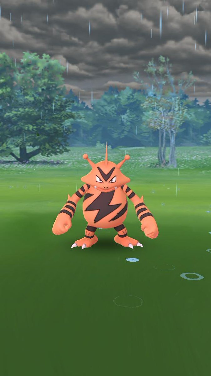 モンジャラ モジャンボ 計13枚