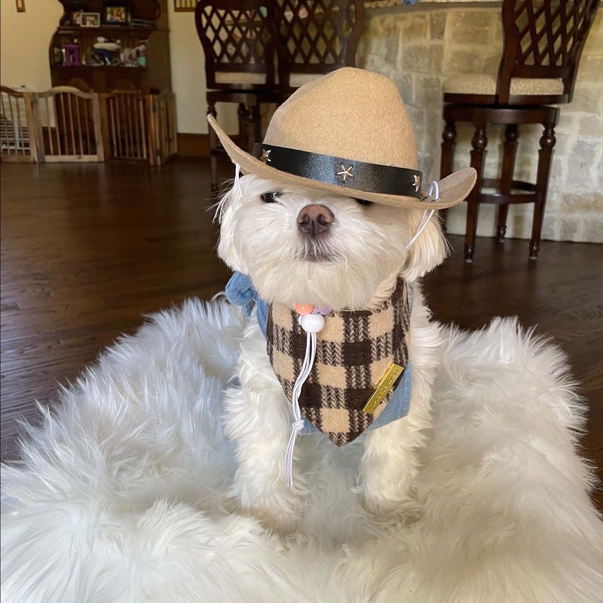 michaelablon's tweet photo. The State Fair of Texas is in its last week (thru Oct. 23rd). Little Tex says, ‘Don’t miss out!’ 

#StateFair #TXStateFair #BigTX #BigTex #Texas #StateFairMenu #TexasStateFair https://t.co/WlheQm3jrM