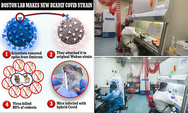 PRNPool's tweet image. OUTRAGE Experts slam #Boston lab where scientists have created a new deadly #Covid strain with an 80% kill rate!  Dr. Paul Hunter: ‘If they start having a dual purpose for research that has offensive military implications, that is the concern.’ #pandemic
dailymail.co.uk/health/article…