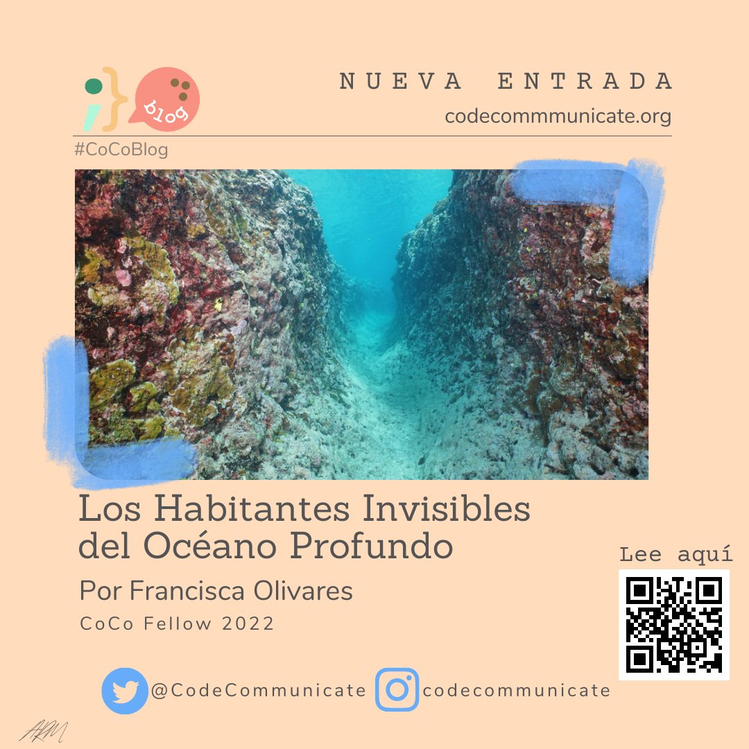 CodeCommunicate's tweet photo. #CoCoBlog. Y así llega nuestrx tercer blog: Los Habitantes Invisibles del Océano Profundo por @franolivares, #CoCoFellow2022. 🌠 Conoce sobre lo que no se ve a simple vista en nuestrxs océanos: https://t.co/0TspWVLWlO 🥥 #versiónespañol #CommCi
Editada: @Mokasaurus & @rojo_vive https://t.co/Lg0LuHrr1s