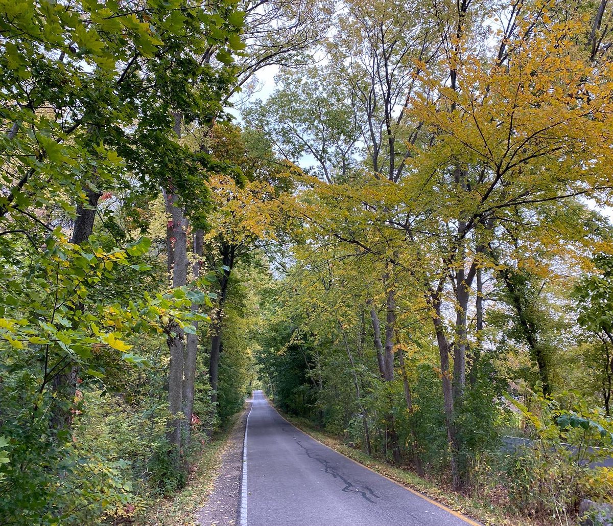 myvisionoflife1's tweet photo. My Vision of Life Experience #vision #life #lifestyle #explore #experience #nature #madison #wisconsin #usa 🇺🇸 #spactacular #nature #naturephotography #sunrise #sunrise_sunset_photogroup #sunrise_and_sunsets #sunriseoftheday #leaves🍁 #leaves #leavesfall #lakemendota #lake #birds https://t.co/mvmFQ29qTL