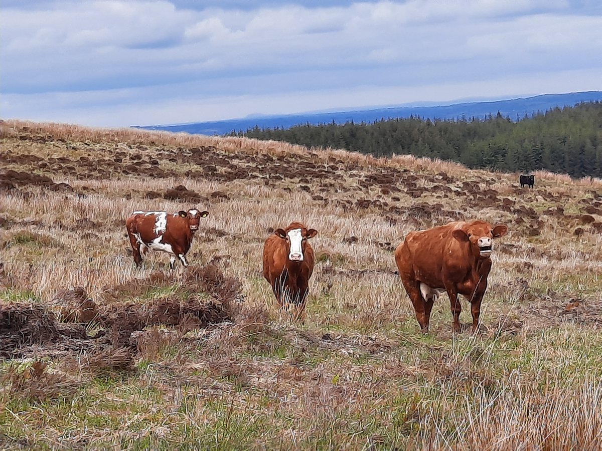 Getting near the end of the initial round of ACRES Co-operation meetings. A few more meetings this week Slieve Beagh Hotel, Co Monaghan Oct 19th 7:30pm Mayflower Community Centre, Drumshambo, Co Leitrim at Oct 20th Teagasc Office, Mohill, Co Leitrim Oct 21st at 7:30pm #ACRES