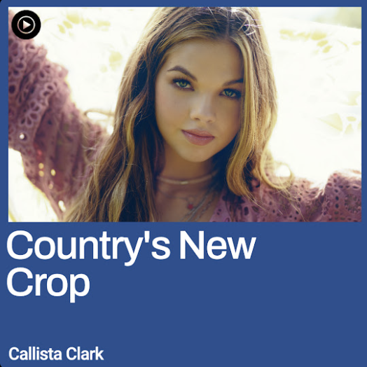 Rock Ridge Music tweet media