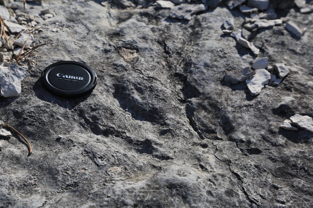 DST UNIFI tweet media