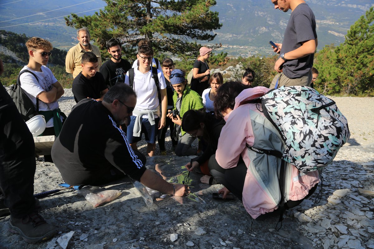 DST UNIFI tweet media