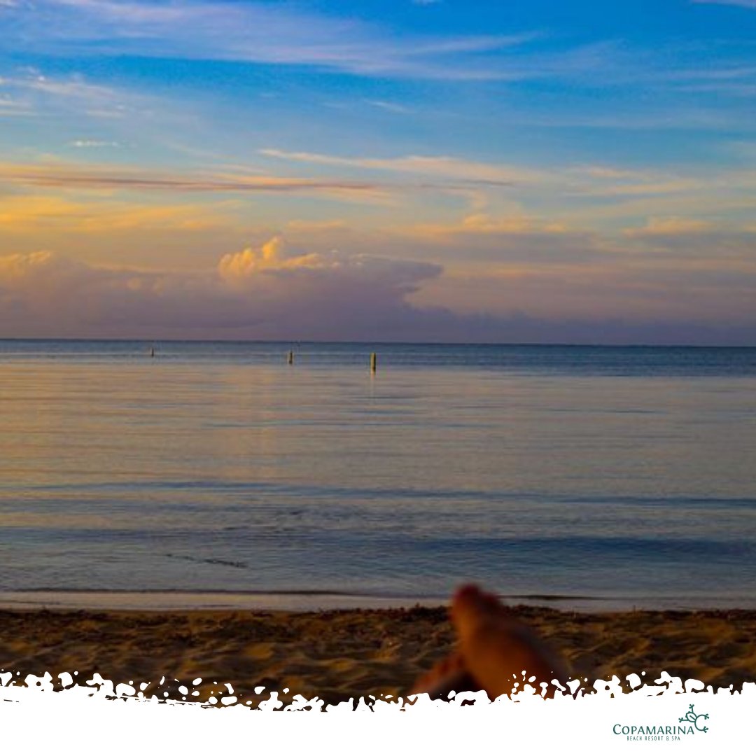copamarina's tweet photo. ¡Nuestros colores hoy se mantienen más vibrantes que nunca!
Escápate al paraíso busca nuestras ofertas de temporada en;
https://t.co/Q9xELSBnv2

#view #guanica #thecopalifestyle https://t.co/OuBOyJrAbu