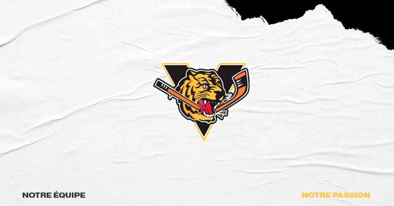 TigresVicto's tweet photo. Les Tigres sont actuellement à la recherche d’un(e) Responsable de l’expérience client, afin de compléter leur équipe administrative. 

#GoTigresGo