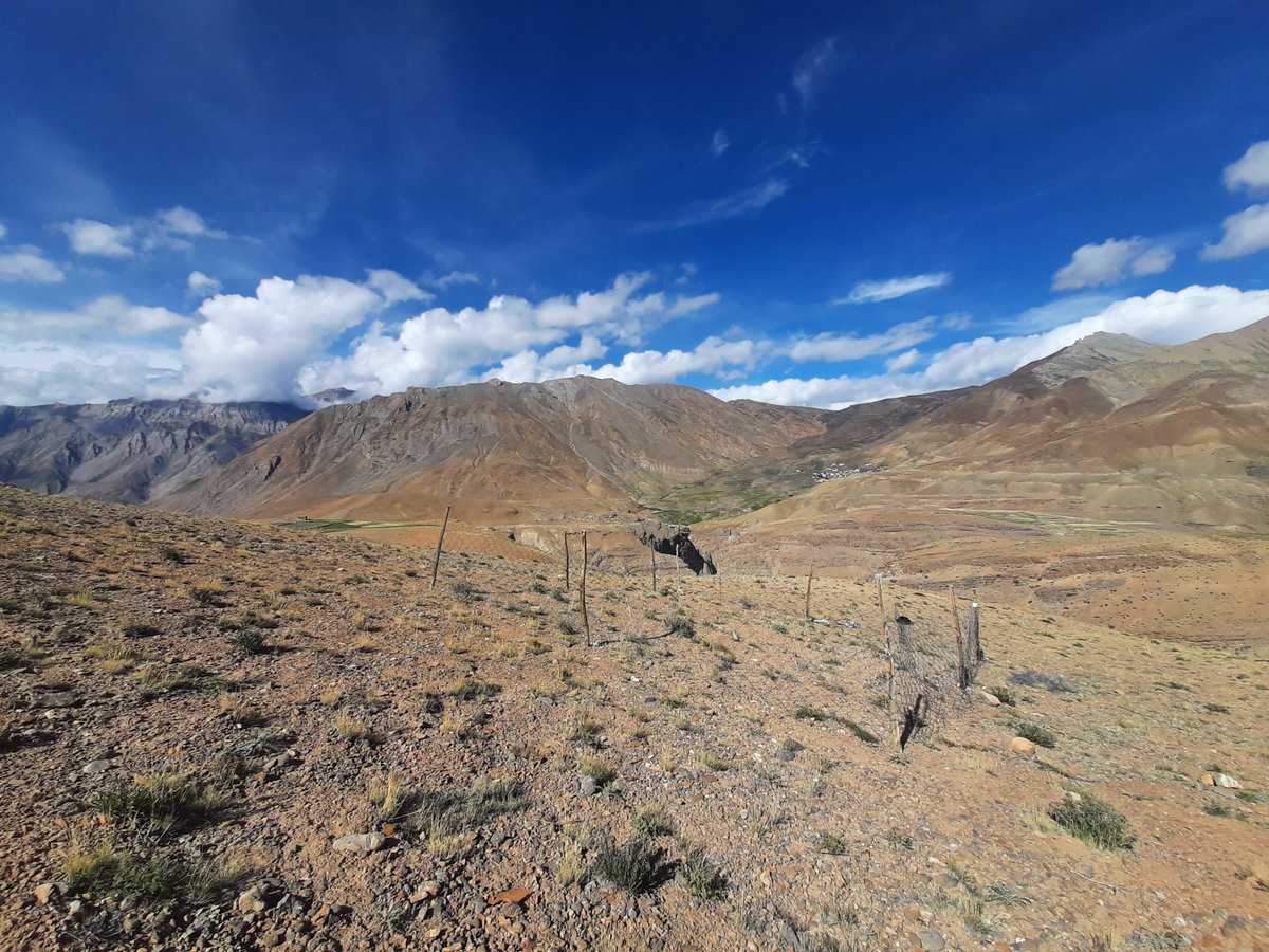 Large mammalian herbivores like the yak & ibex play a crucial role in stabilising the soil carbon pool in grazing ecosystems such as Spiti region in #Himalayas, report researchers @CES_IISc @DivechaFor in @PNASNews: iisc.ac.in/events/grazing… @shamikr @DilipGTNaidu #IIScresearch