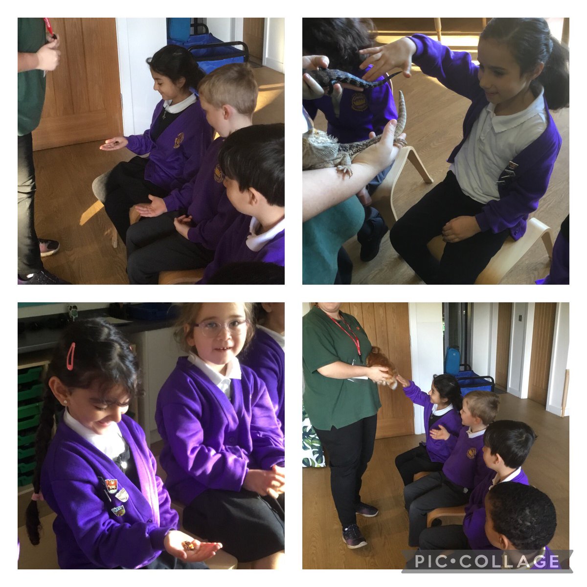 KingsleyLpool's tweet photo. Year 2 had an amazing day experiencing their Science Week workshop! They got to meets all sorts of different creatures! #kingsley #kinglseyscience #kingsleyscienceweek https://t.co/7Rqa7uO8l3