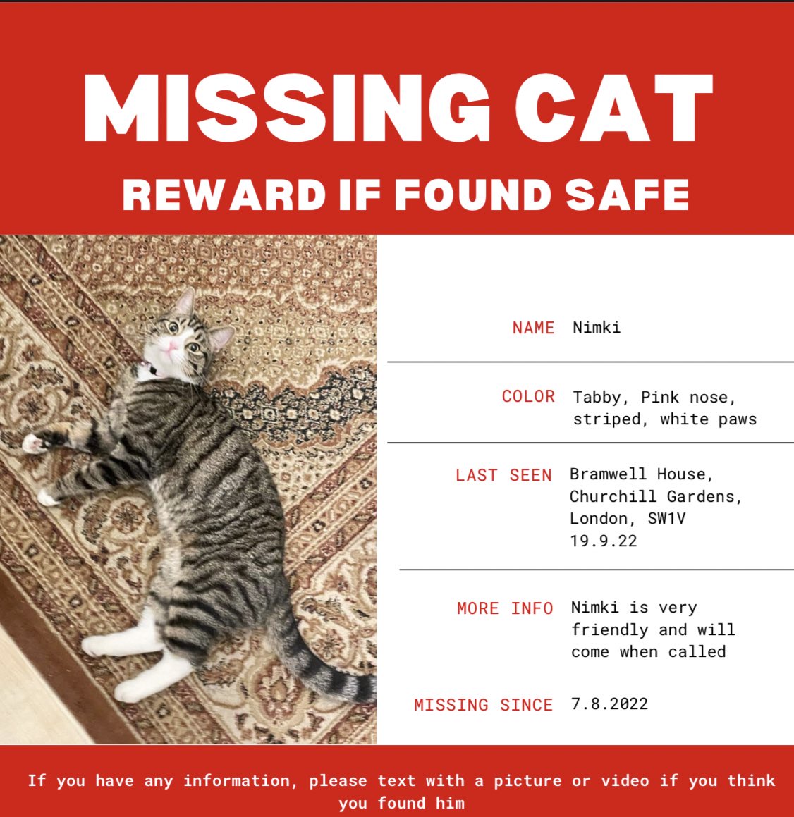 subahstuff's tweet photo. ❗️❗️❗️ MISSING CAT IN LONDON. PIMLICO/VICTORIA AREA ❗️❗️❗️
It's been over 2 months since my pet cat Nimki has been missing 💔 We are heartbroken. He is 3 years old, neutered and microchipped. #missingcatlondon #missingcatuk #pimlico #victoria #missing
PLEASE SHARE/RT https://t.co/npKzevIRyD