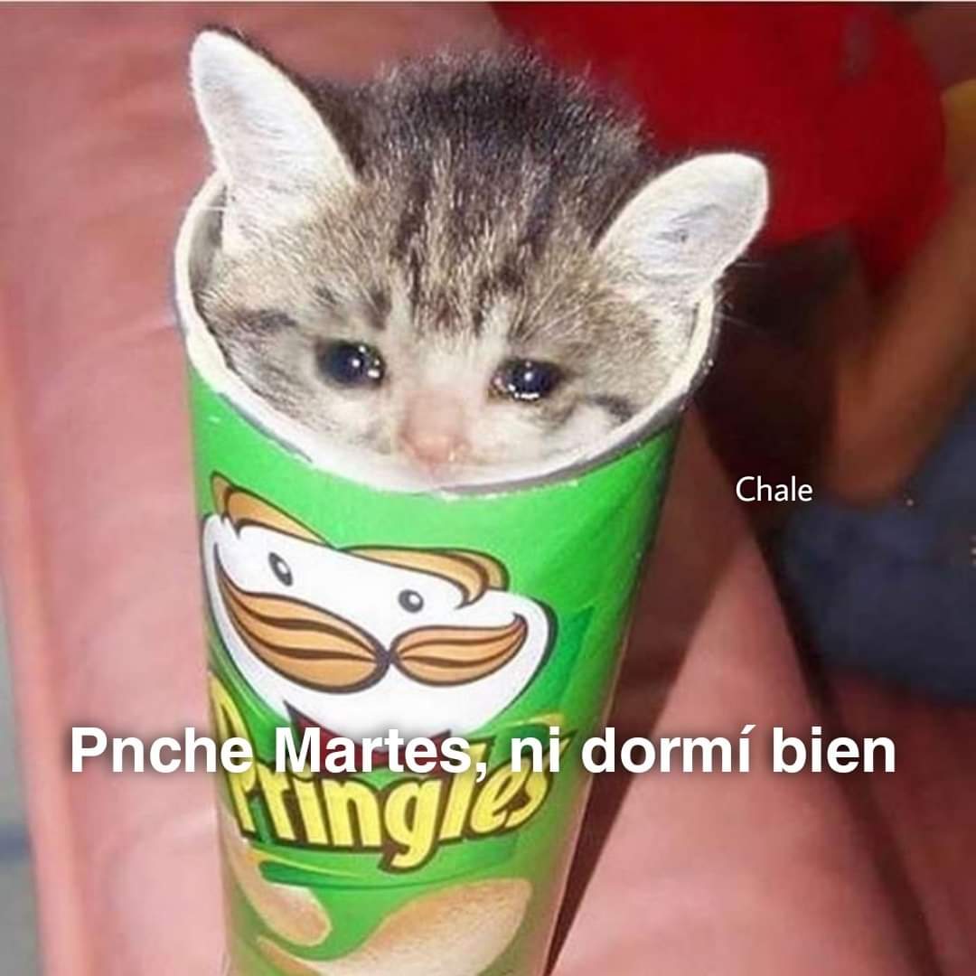 carmeliiru's tweet image. Buenos días de bajón 😖
Que sea un muy buen martes para todos 🙌🏽✨ #PoderosoHumedo