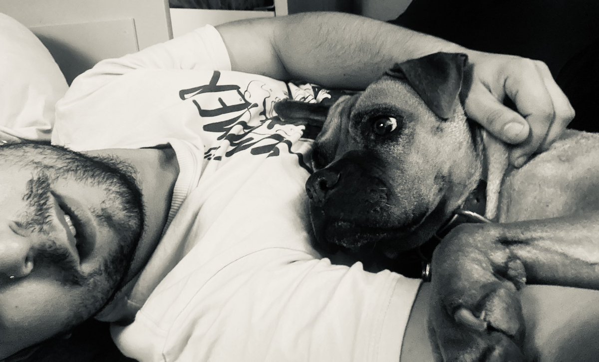 JouMartinMusic's tweet photo. Siesta o no siesta? https://t.co/ZonH6JgwHR