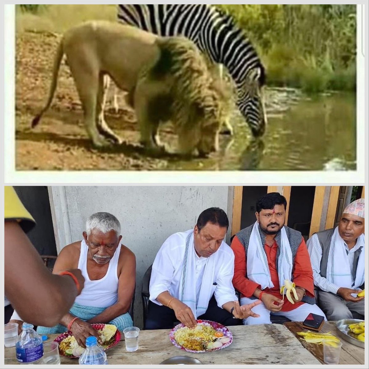 चुनाव आएर😂😂