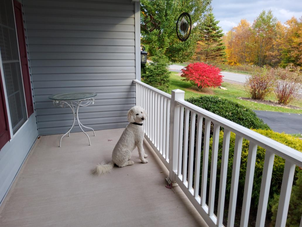 Happy Taco Tuesday Day....Everyone stay safe and have a beautiful fall day