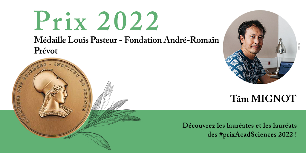 🏆 Découvrez les lauréats des #prixAcadSciences 2022 ! 
Tâm MIGNOT, DR <a href="/CNRS/">CNRS 🌍</a> @lcb_officiel (@INSB_CNRS/@univamu), est lauréat de la Médaille Louis Pasteur-Fondation André-Romain Prévot.
👉RDV le 22 nov. pour la cérémonie de réception de son prix.
ℹ️ academie-sciences.fr/fr/Laureats/la…