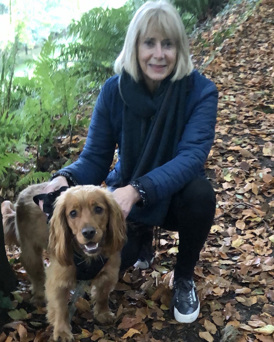 Hilaryscott__'s tweet photo. Autumn walks can provide respite from feelings of grief and anger #bereavement #grief #anger #sadness #onedayatatime https://t.co/z0QgqlttT9
