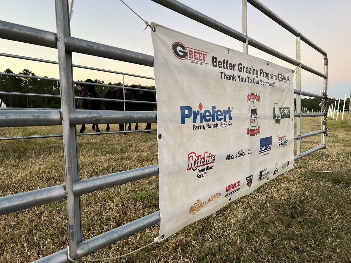DrJJTuga's tweet photo. It was a nice crisp morning at the #BetterGrazingProgram moving calves on our 4 day rotation… the BGP wouldn’t be possible without all our industry partners! Be sure to stop in and see them (and me) at the @sunbeltagexpo in the Beef Barn later today!! #UGABeef #Collaboration https://t.co/WSB3CCtYD5