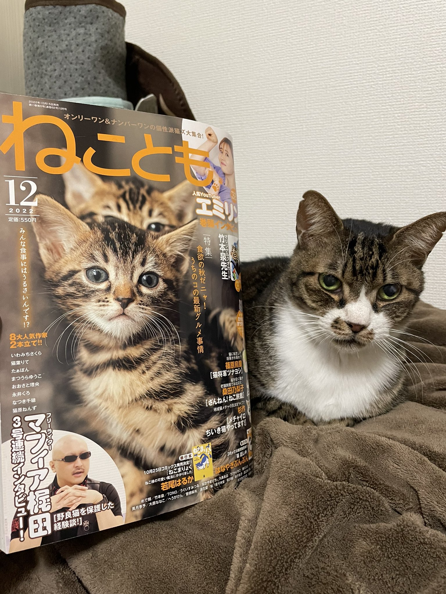 猫葉 りて Nekoharite Twitter